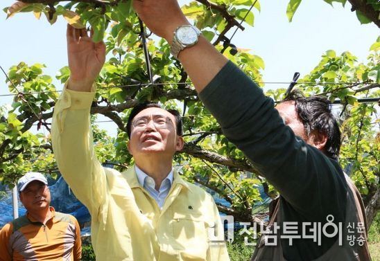 윤병태 나주시장이 지난 4월 이상저온으로 냉해를 입은 금천면 배 농가를 찾아 피해상황을 점검하고 있다.
