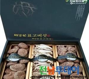 <사진제공=광양시청>