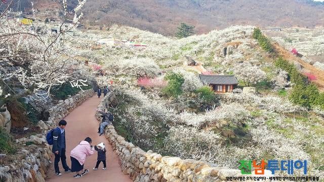 <사진제공=광양시청>