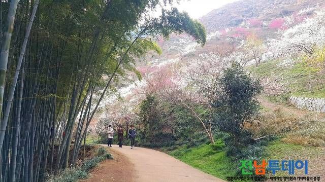 <사진제공=광양시청>