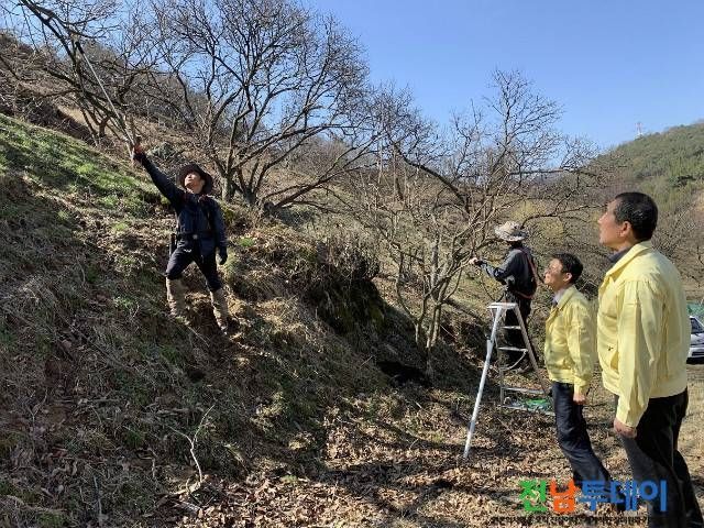 담양군청 / 사진제공