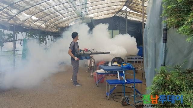 담양군/사진자료 제공