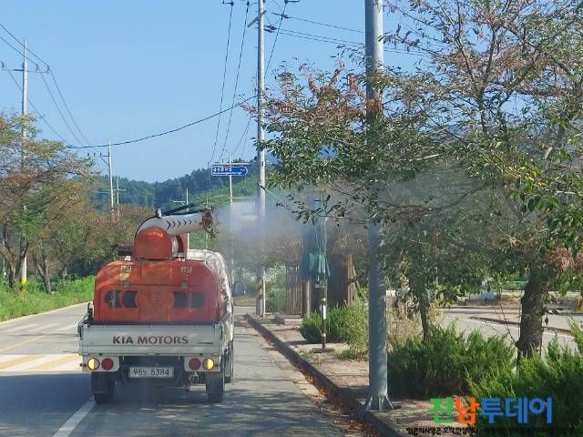 담양군청/사진자료 제공