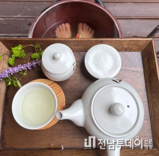 보성군 ‘전남권환경성질환예방관리센터’웰니스 페스타 참가