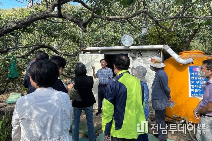 광양시, 매실겨우살이 재배 현장교육 추진