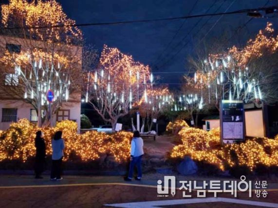 장흥 부산면, ‘달빛과 별빛’ 주제 트리조명 밝혀