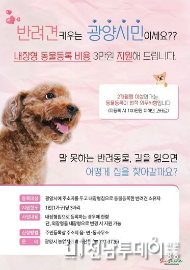 광양시, 반려견 내장형 동물등록 비용 3만 원 지원
