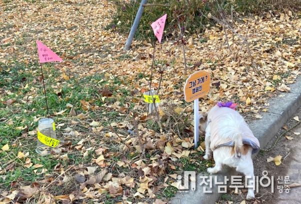 광산구 우산동 자원봉사캠프 마을실험_꽃밭에 웬 똥 전시회