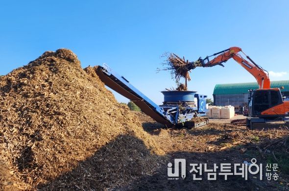 서귀포시 소나무 재선충병 고사목 자원화 확대