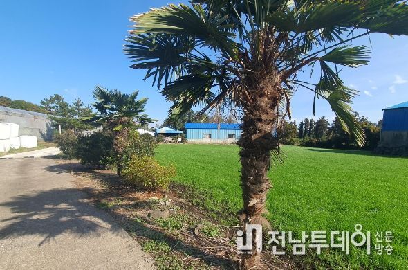 서귀포시,‘깨끗한 축산농장’올해 지정 목표 초과 달성