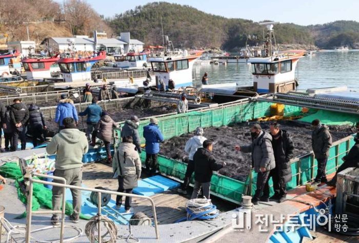 청정해역 고흥군, 2023년산 물김 본격 생산