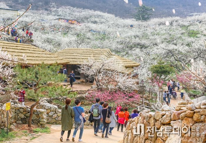 광양시, ‘2023 주목해야 할 인기 여행지 탑 10’ 포함