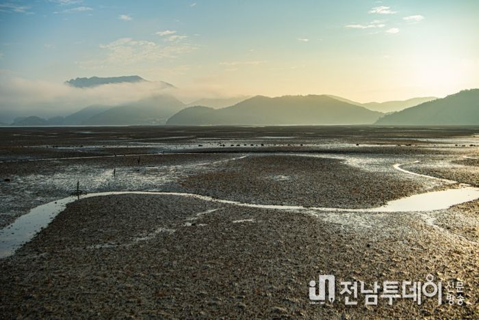 고흥군 여자만 갯벌, 습지보호지역으로 신규 지정