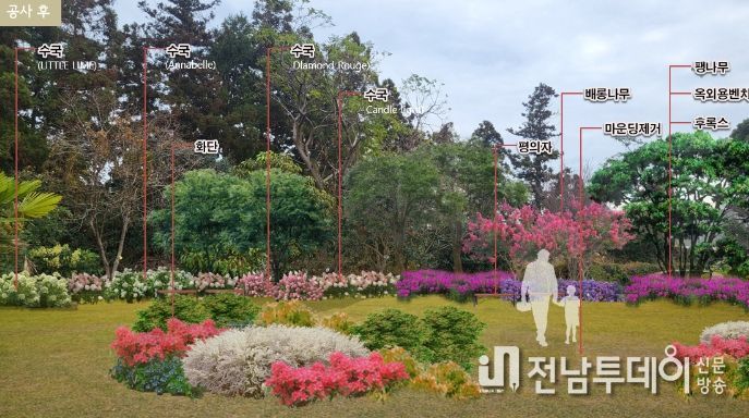 안덕초등학교(학교숲 조성 후)