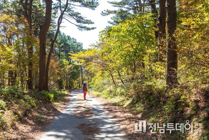 광양시, 움츠리기 쉬운 겨울 백운산 둘레길 걸어요