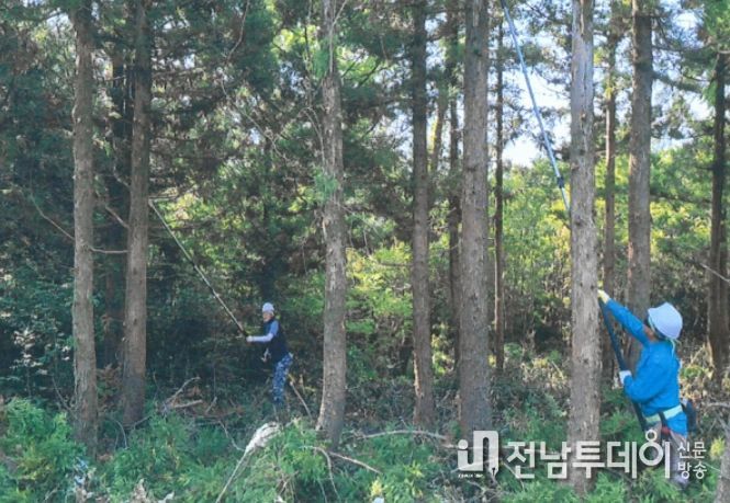 공익 숲 가꾸기