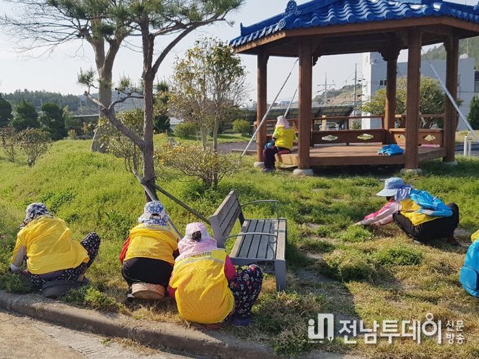 신안군, 노인 일자리 사업 2월 13일부터 본격 추진