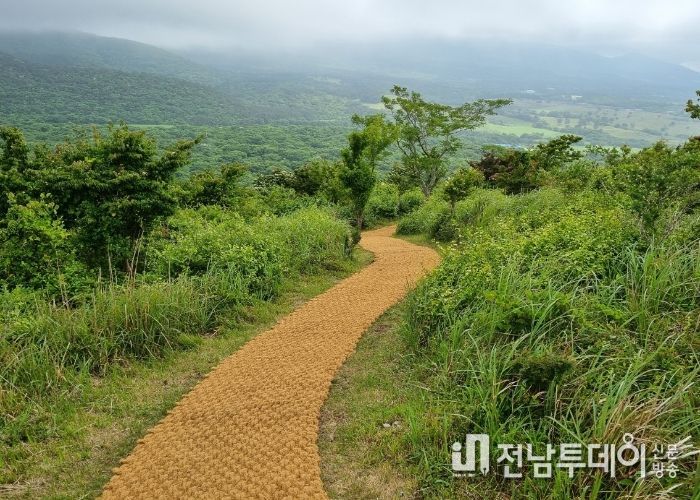 노루생태관찰원
