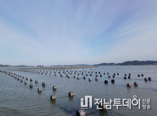 전남 신안군, 전국 최초 김산업 진흥구역 지정 공모사업 선정