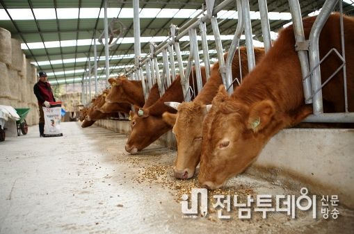 해남군“인공 수정에서 임신 진단까지”걱정마‘소’