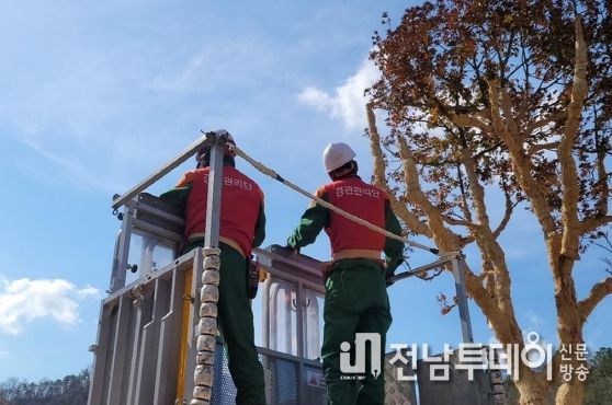 장흥군, 봄맞이 도시숲·가로수 관리 손길 분주