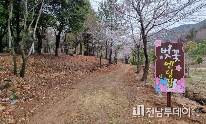 광양시 백운산 자연휴양림 화사한 벚꽃 야경길 조성