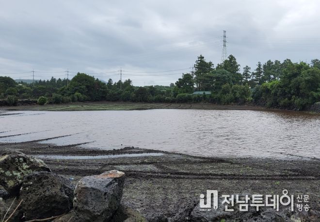 수산2지구