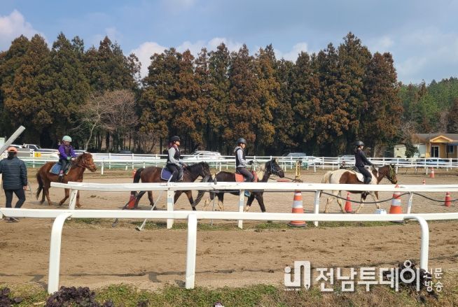 2023년 시민건강 힐링 승마 교실 참여 대상자 모집
