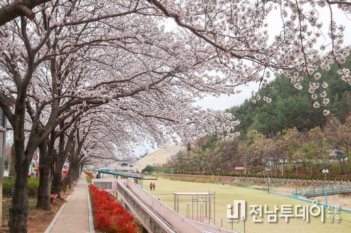 광양시, 벚꽃 맞이 농특산물 직거래장터에 오세요!