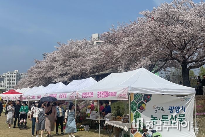 광양시, ‘벚꽃 맞이 농특산물 직거래장터’ 성료