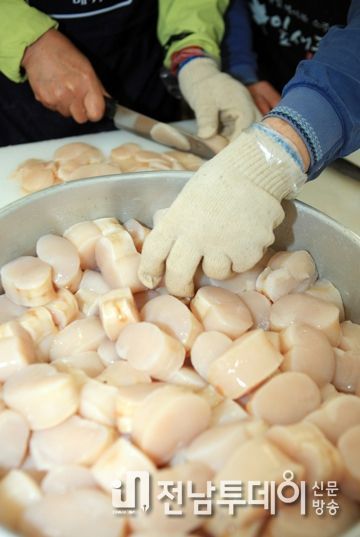 “정남진 장흥 키조개 맛보러 오세요”
