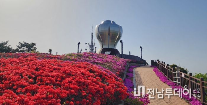 광양시, 핑크빛 철쭉으로 곱게 물든 구봉산전망대