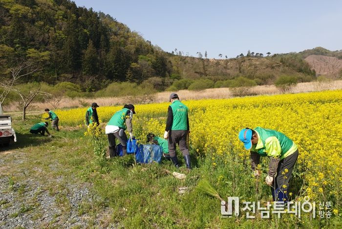장흥 유치면, 황금소나무 신풍습지 공원 식재