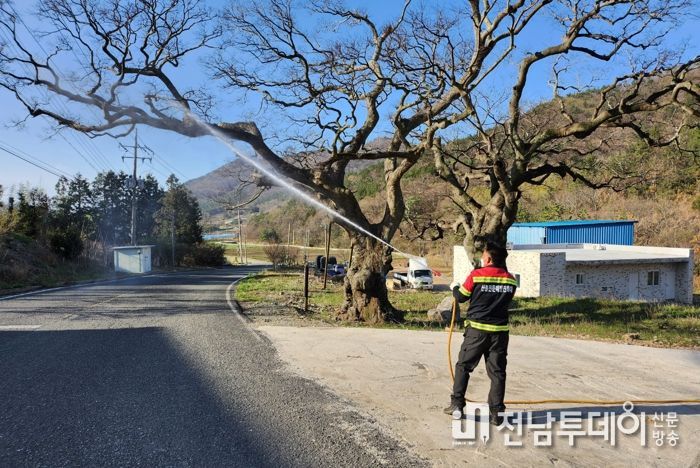장흥군, 생활권 수목병해의 선제적 방제 총력