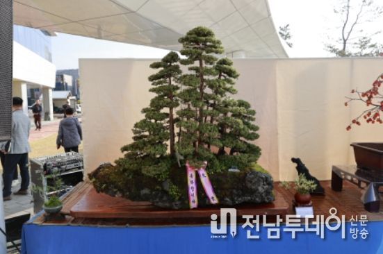 보성군, ‘제8회 전라남도 우수 분재대전’ 개최
