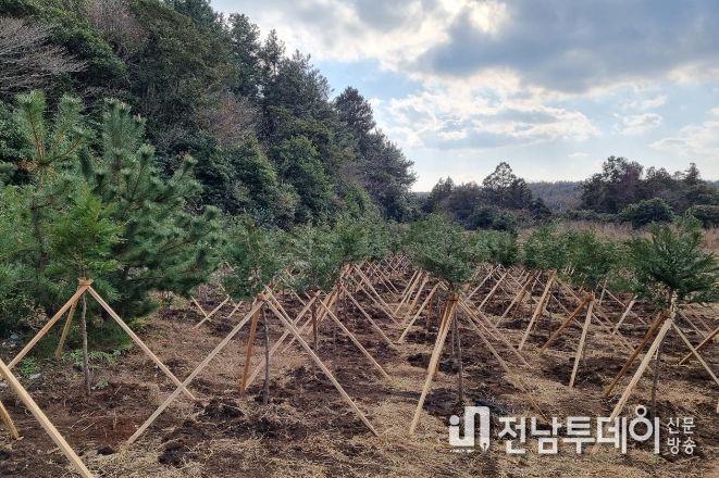 조림사업