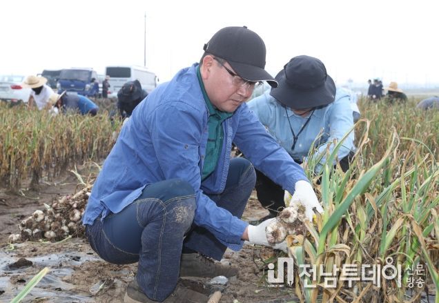 농촌 일손 돕기에 나선 강병삼 제주시장