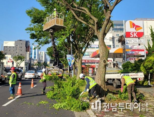 생활권 주변 가로수 전정 사업