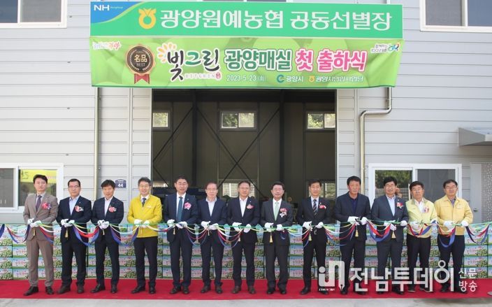 광양시, '명품 광양매실' 첫 출하 본격 개시