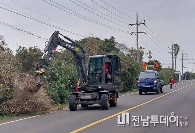 4월 중산간도로변 덩굴제거
