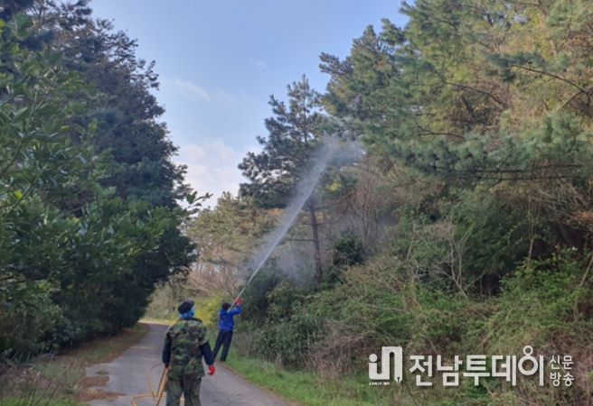 소나무재선충병 지상방제