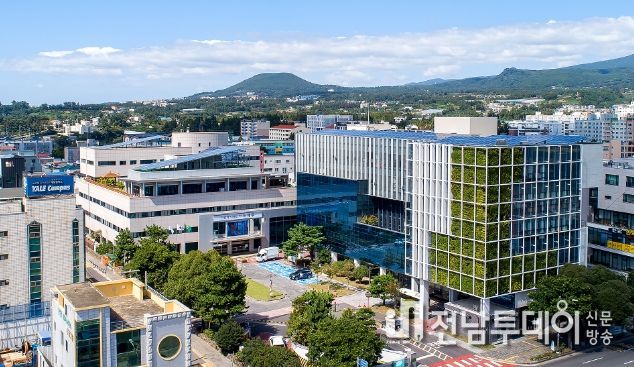 제주 마늘농가의 한숨,‘서귀포in정’이 구원투수로 나서