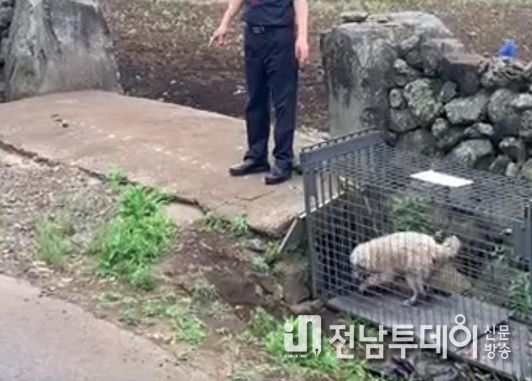 제주 동부행복센터, 잦은 들개 출몰지역 주민 안전 확보 나서