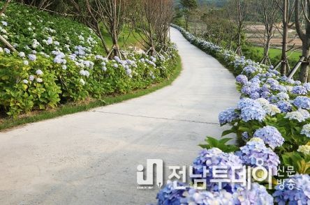신안군, ‘2023년 찾아가고 싶은 여름 섬’ 도초도 선정