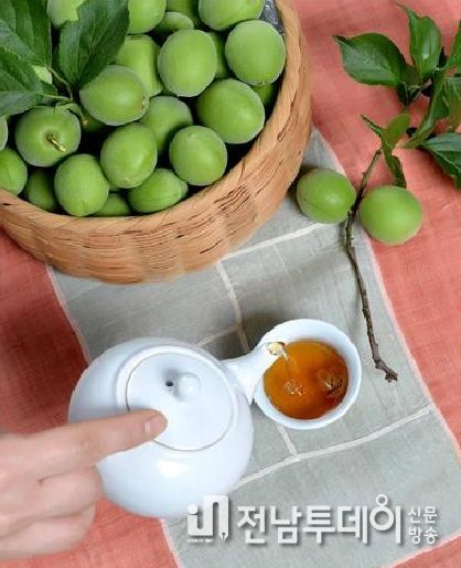 광양시, 6월은 초록 매실 영그는 시절