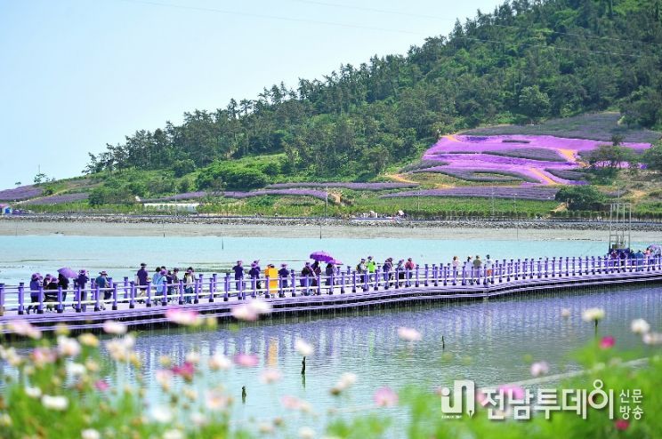 지난 10일 퍼플섬 힐링 걷기대회 참가자들이 퍼플교 문브릿지를 걷고 있다.