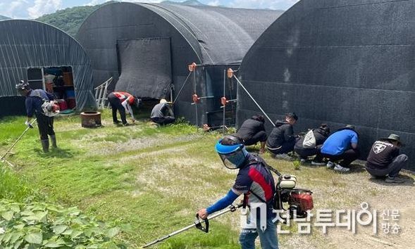 장흥군버섯산업硏, 표고버섯 재배현장 일손돕기 구슬땀