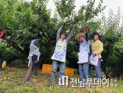 광양시 공무원, 농촌 일손돕기 적극 참여