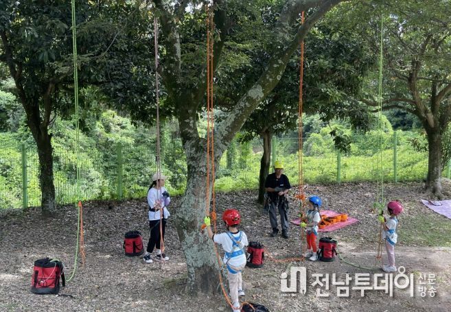 감귤박물관 ‘푸르다놀이숲’ 팝업에코놀이터