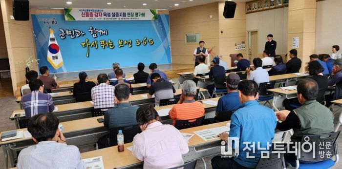 품종별 수량성 평가를 하고 있다.
